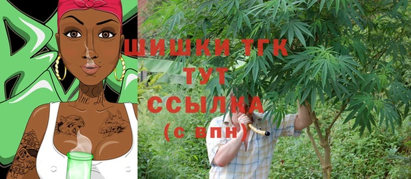 хмурый Арсеньев
