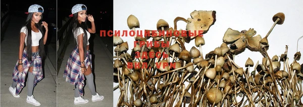 кокаин премиум Армянск