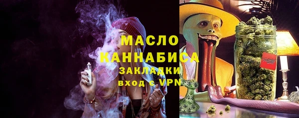 хмурый Арсеньев