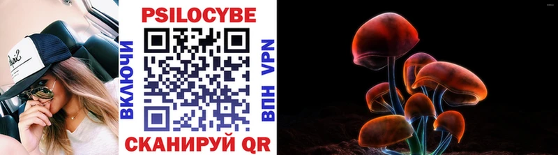 Галлюциногенные грибы прущие грибы  Купить  Слюдянка 